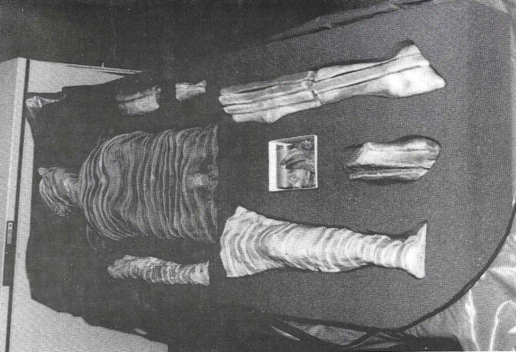 An Efficient Method of Storing and Studying a CrossSectioned